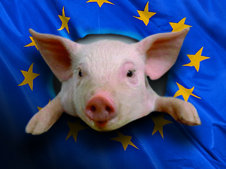 ferkel_europafahne_0