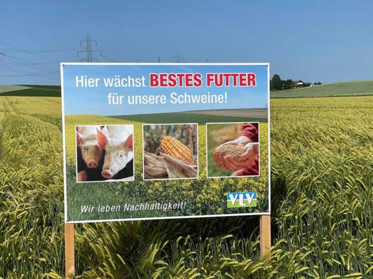 Feldtafel-V21-in-Gerste_korr