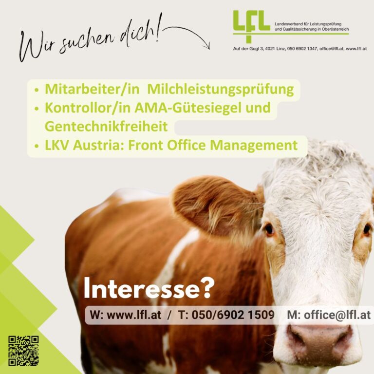 Stellenausschreibungen zum Aufhängen (Instagram Post)